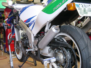 DSC06537.jpg