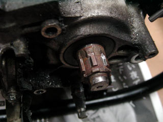 DSC06585.jpg