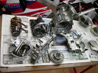 DSC06617.jpg