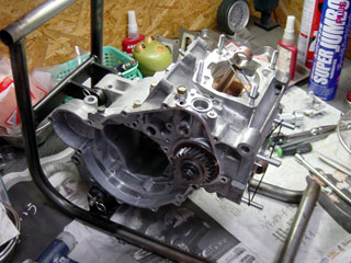 DSC06790.jpg