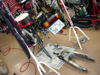 DSC09064.jpg
